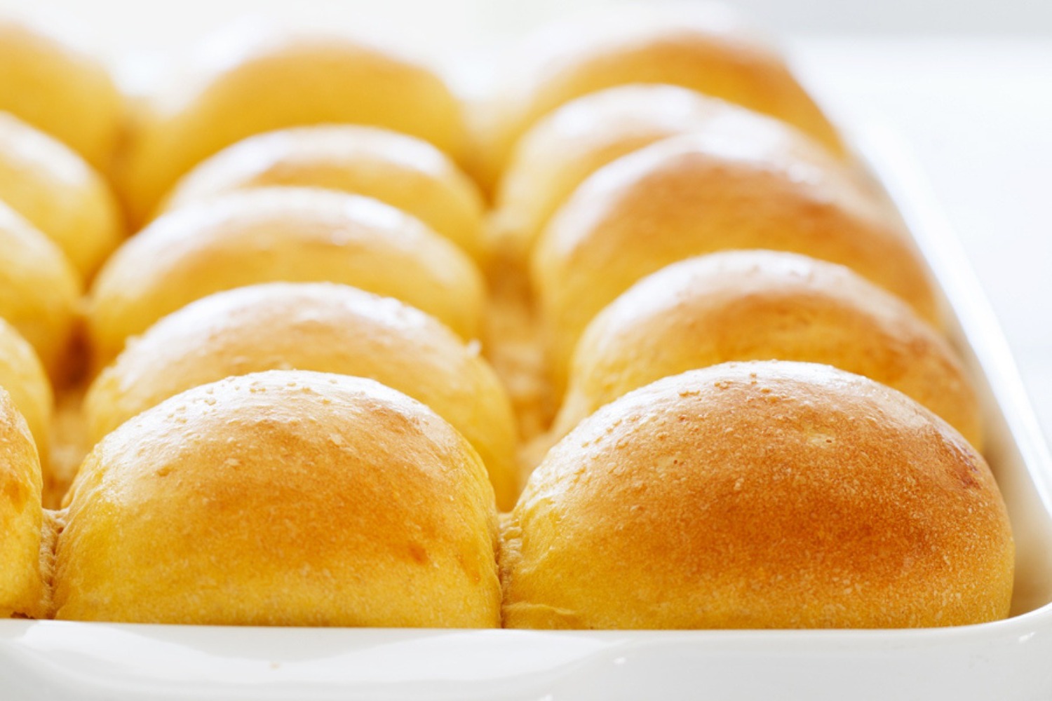 sweet-potato-dinner-rolls-recipe