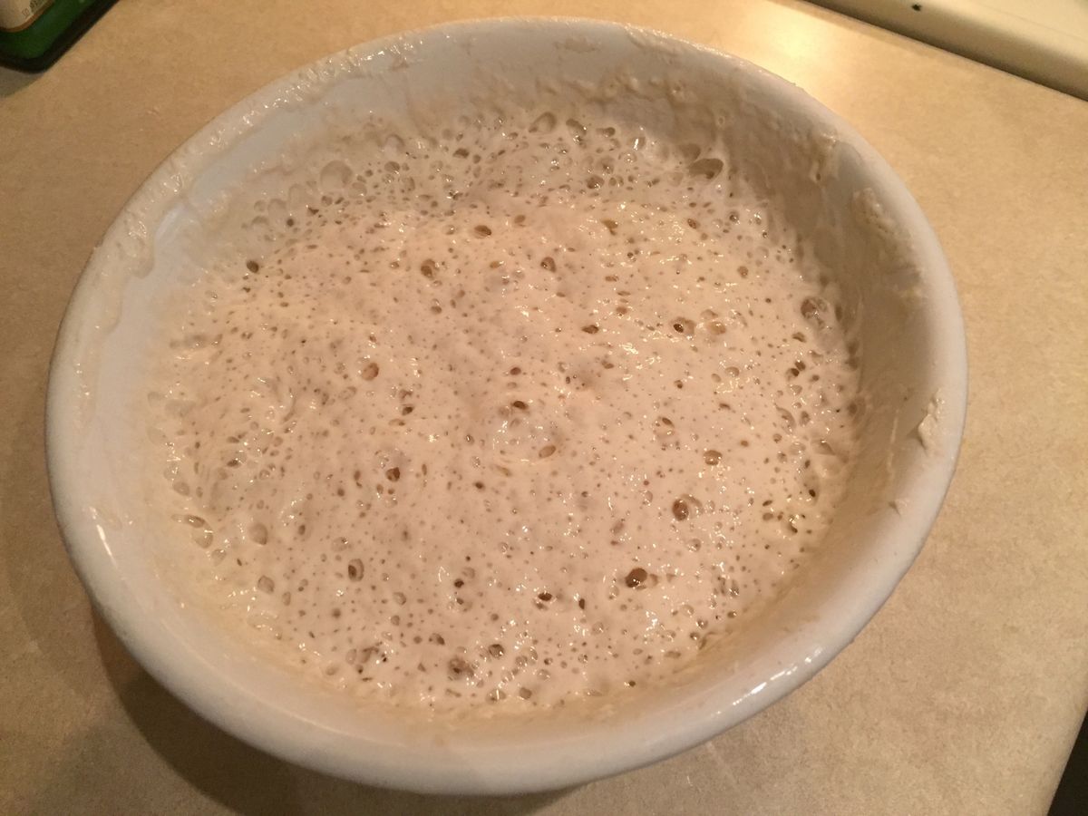 wild-grape-starter-recipe